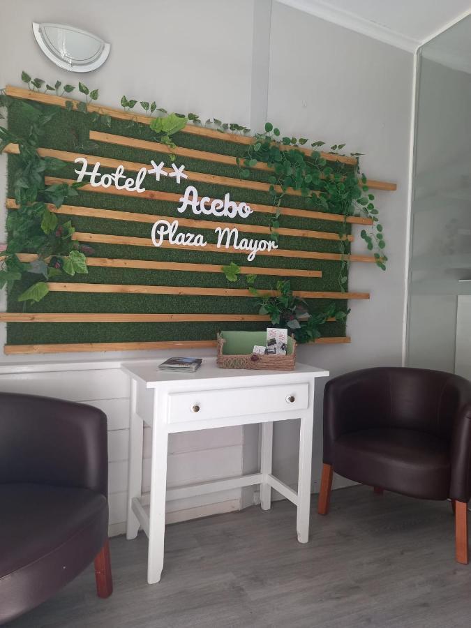 Hotel Acebo Plaza Mayor 哈卡 外观 照片
